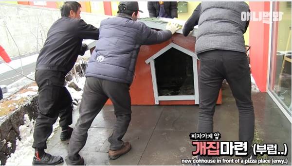 เจ้าของร้านพิซซ่าทำบ้านใหม่ให้ 2 ตูบจรจัดขาประจำ รับมาอยู่ด้วยกันซะเลย เจ้าของร้านพิซซ่าทำบ้านใหม่ให้ 2 ตูบจรจัดขาประจำ รับมาอยู่ด้วยกันซะเลย