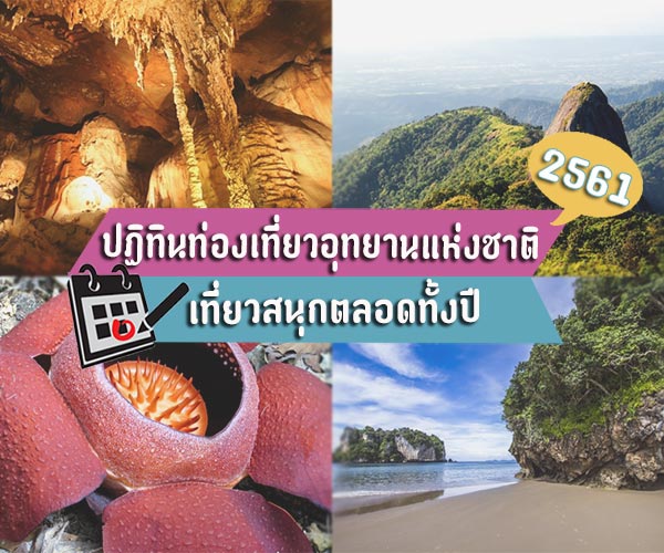 ปฏิทินท่องเที่ยวอุทยานแห่งชาติ 2561 ปฏิทินท่องเที่ยวอุทยานแห่งชาติ 2561