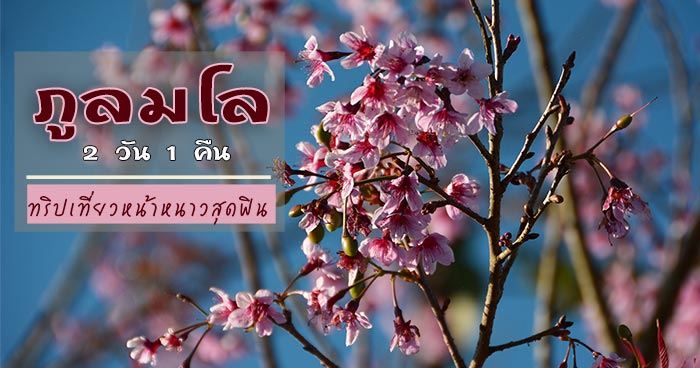 เที่ยวภูลมโล เที่ยวภูลมโล