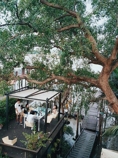 เที่ยวบางกระเจ้า Bangkok Tree House