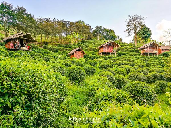 ที่เที่ยวน่าน ที่เที่ยวน่าน