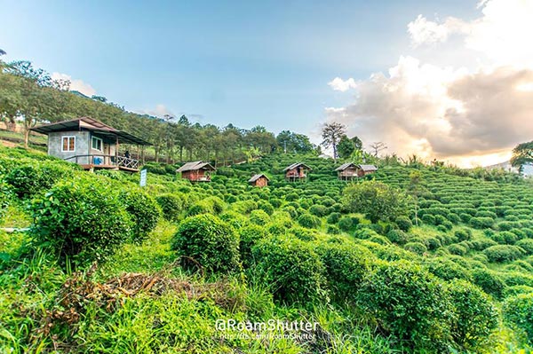 ที่เที่ยวน่าน ที่เที่ยวน่าน