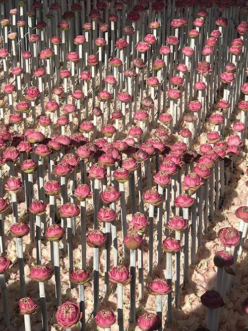 ซุ้มดอกไม้ ปากคลองตลาด ซุ้มดอกไม้ ปากคลองตลาด