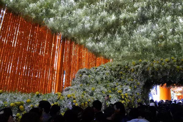 ซุ้มดอกไม้ ปากคลองตลาด ซุ้มดอกไม้ ปากคลองตลาด