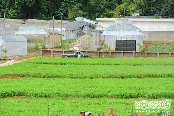 สถานีเกษตรหลวงปางดะ เชียงใหม่ สถานีเกษตรปลวงปางดะ เชียงใหม่