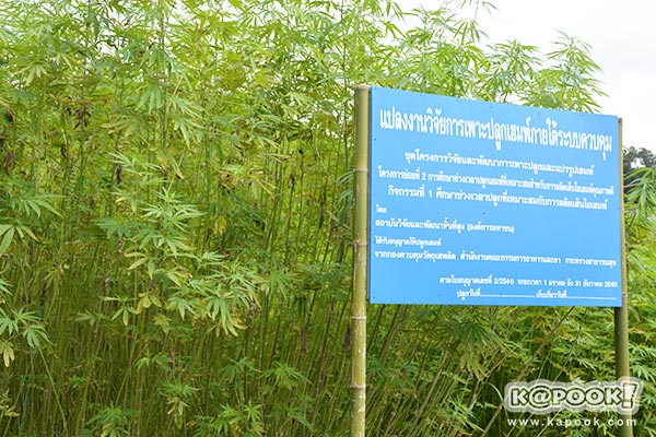 สถานีเกษตรหลวงปางดะ เชียงใหม่ สถานีเกษตรปลวงปางดะ เชียงใหม่