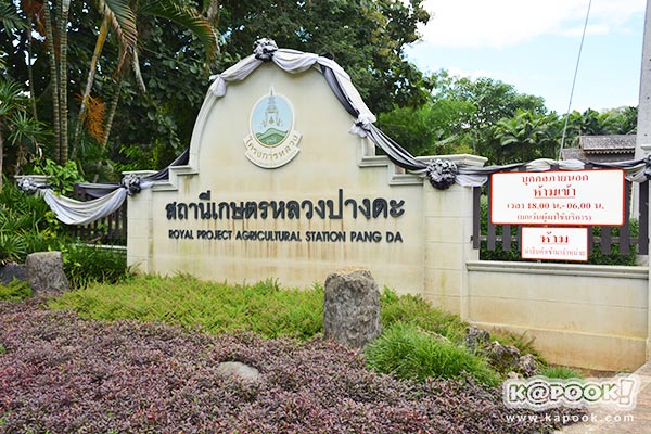 สถานีเกษตรหลวงปางดะ เชียงใหม่ สถานีเกษตรปลวงปางดะ เชียงใหม่