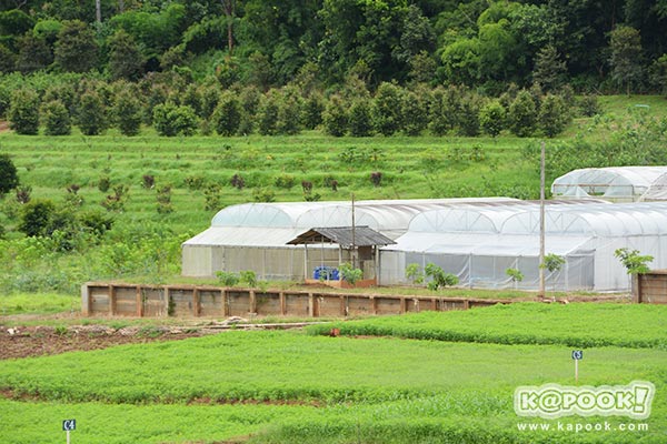 สถานีเกษตรหลวงปางดะ เชียงใหม่ สถานีเกษตรปลวงปางดะ เชียงใหม่