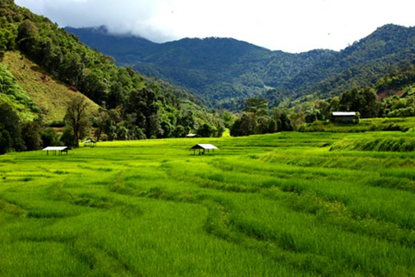 เที่ยวโครงการหลวง เที่ยวโครงการหลวง
