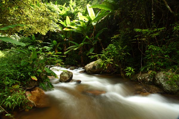 เที่ยวโครงการหลวง เที่ยวโครงการหลวง