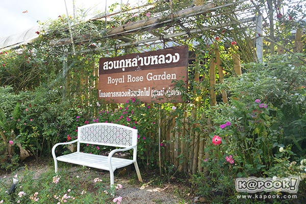 สวนกุหลาบห้วยผักไผ่ สวนกุหลาบห้วยผักไผ่