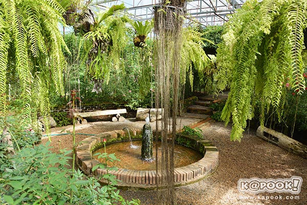 สวนกุหลาบห้วยผักไผ่ สวนกุหลาบห้วยผักไผ่