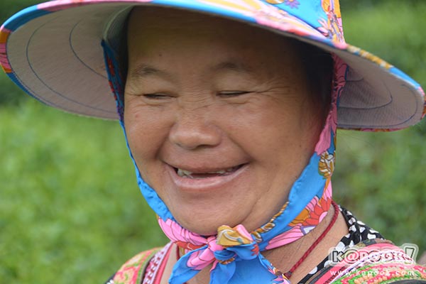 โครงการหลวงขุนวาง โครงการหลวงขุนวาง