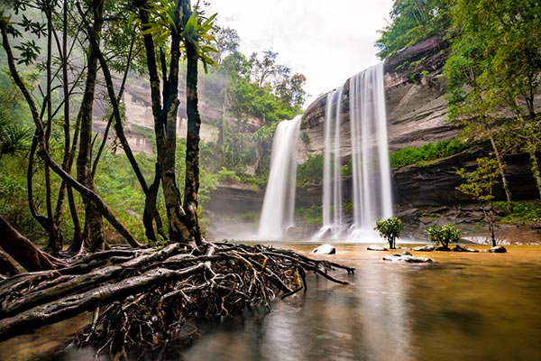 ที่เที่ยวอุบลราชธานี อุทยานแห่งชาติภูจองนายอย