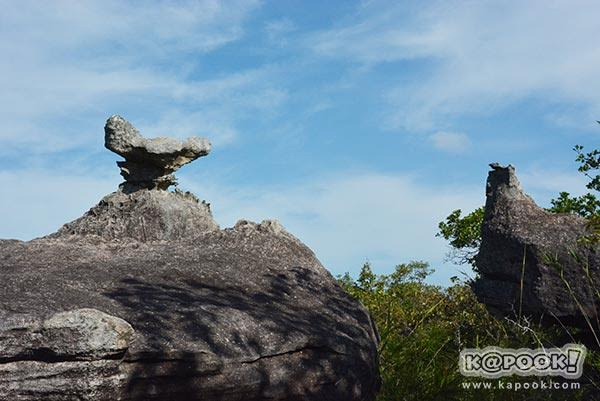ที่เที่ยวอุบลราชธานี ภูอานม้า