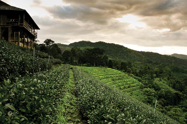 หนาวนี้เที่ยวไหนดี 2560 หนาวนี้เที่ยวไหนดี 2560