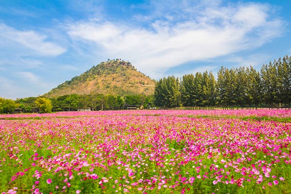 หนาวนี้เที่ยวไหนดี 2560 หนาวนี้เที่ยวไหนดี 2560