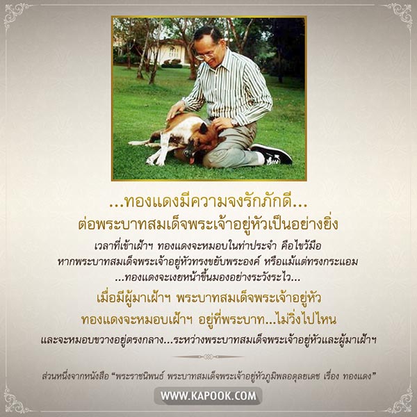 คุณทองแดง คุณทองแดง