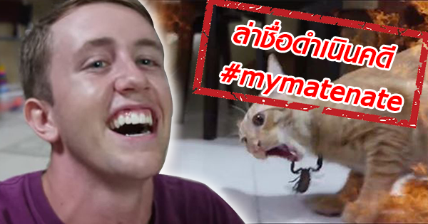 mymatenate mymatenate