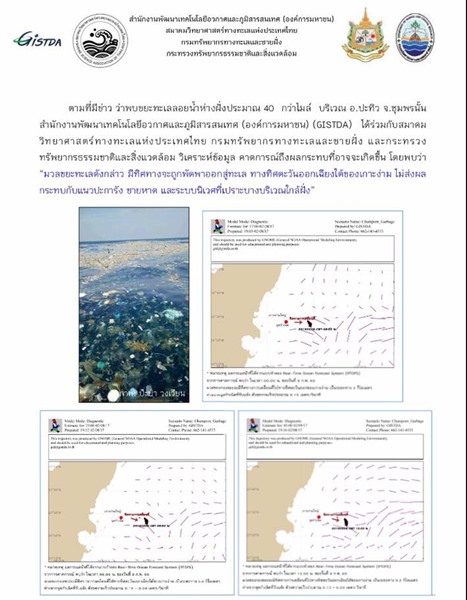ขยะในทะเล ขยะในทะเล
