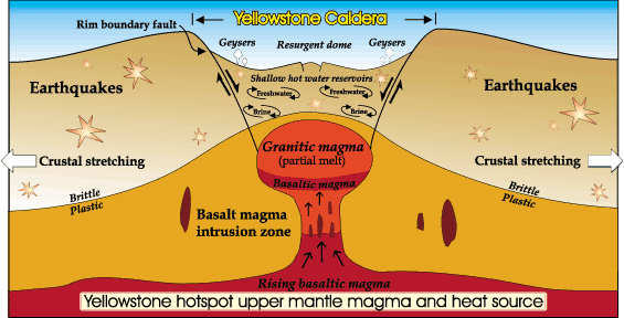 เยลโลว์สโตน เยลโลว์สโตน