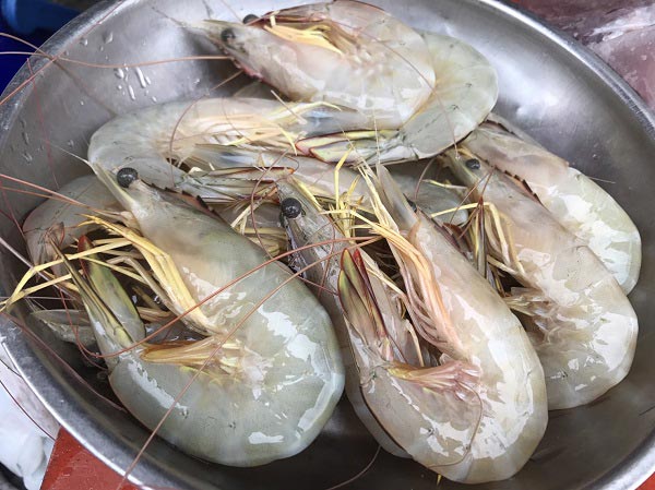 ข้าวต้มทะเล ข้าวต้มทะเล