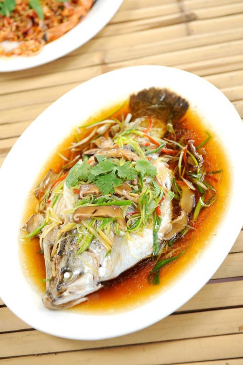 5 สูตรทำปลานึ่งซีอิ๊ว 5 สูตรทำปลานึ่งซีอิ๊ว