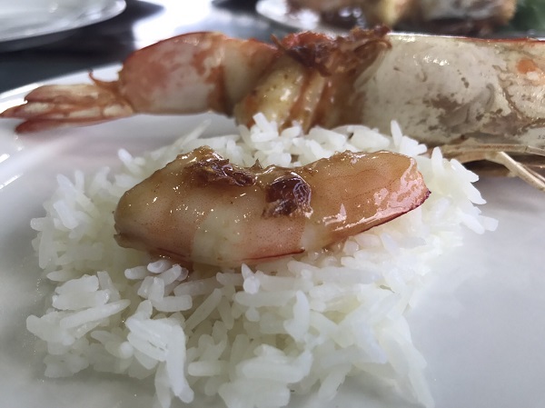 กุ้งลูกเขย กุ้งลูกเขย