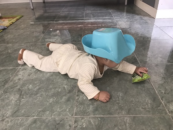 กุ้งลูกเขย กุ้งลูกเขย