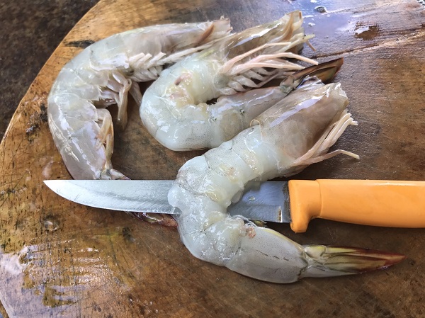 กุ้งลูกเขย กุ้งลูกเขย