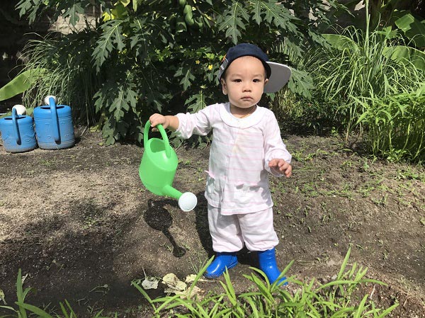 แกงคั่วกุ้งสับปะรด แกงคั่วกุ้งสับปะรด