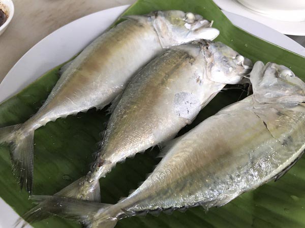 วิธีนึ่งปลาทู วิธีนึ่งปลาทู