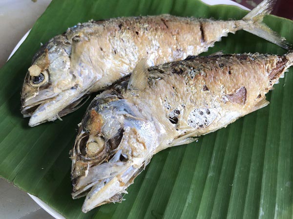 วิธีนึ่งปลาทู วิธีนึ่งปลาทู