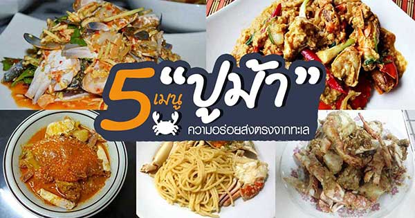 เมนูปูม้า เมนูปูม้า