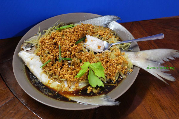 ปลานึ่งซีอิ๊ว ปลานึ่งซีอิ๊ว