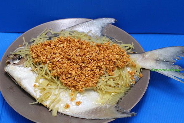 ปลานึ่งซีอิ๊ว ปลานึ่งซีอิ๊ว