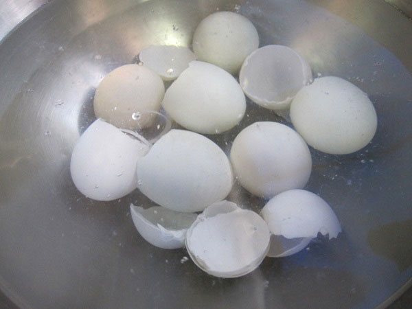 ไข่ครอบ ไข่ครอบ