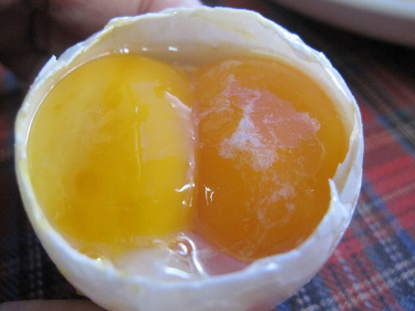 ไข่ครอบ ไข่ครอบ