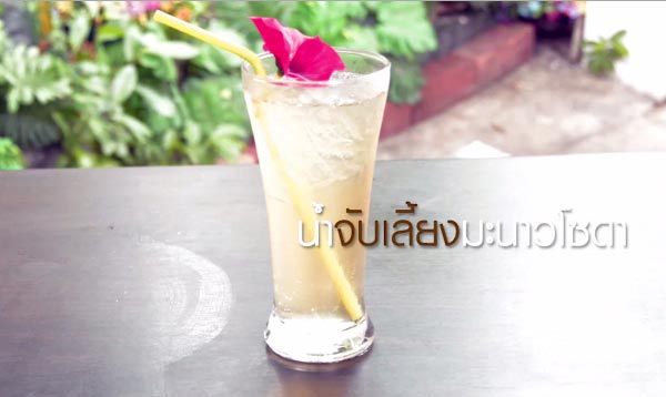 9 สูตรน้ำมะนาว 9 สูตรน้ำมะนาว