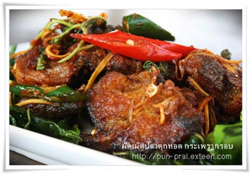ผัดเผ็ดปลาดุกทอดกะเพรากรอบ ผัดเผ็ดปลาดุกทอดกะเพรากรอบ