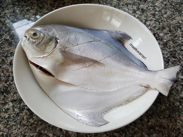 ปลาจาระเม็ดนึ่งซีอิ๊ว ปลาจาระเม็ดนึ่งซีอิ๊ว