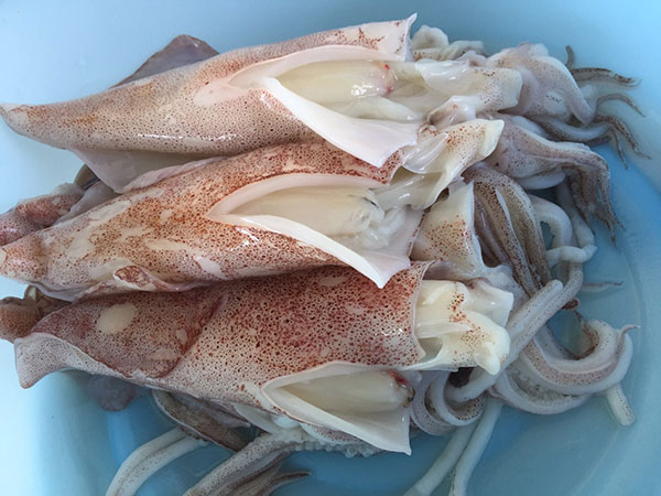 หมึกต้มน้ำดำ หมึกต้มน้ำดำ