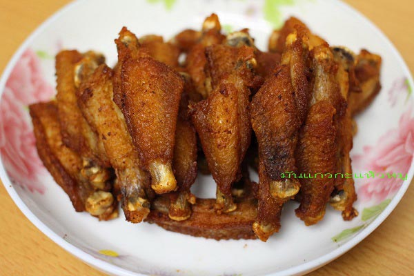 ปีกไก่ทอด ปีกไก่ทอด