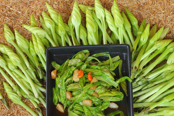 10 เมนูผัดผักไร้เนื้อสัตว์ 10 เมนูผัดผักไร้เนื้อสัตว์