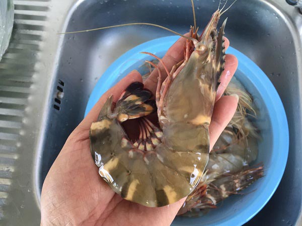 ข้าวผัดกุ้ง ข้าวผัดกุ้ง