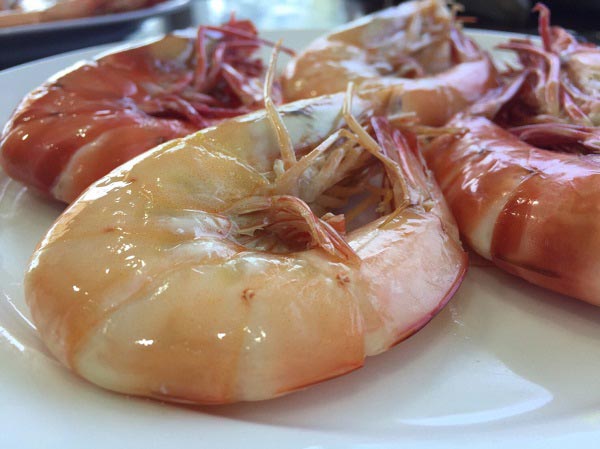 ข้าวผัดกุ้ง ข้าวผัดกุ้ง