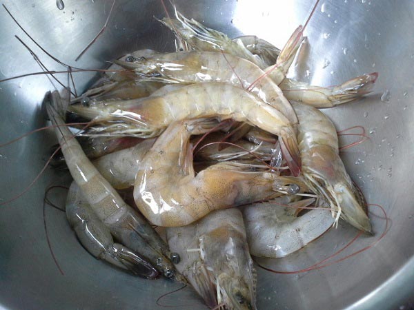 ข้าวผัดกุ้ง ข้าวผัดกุ้ง
