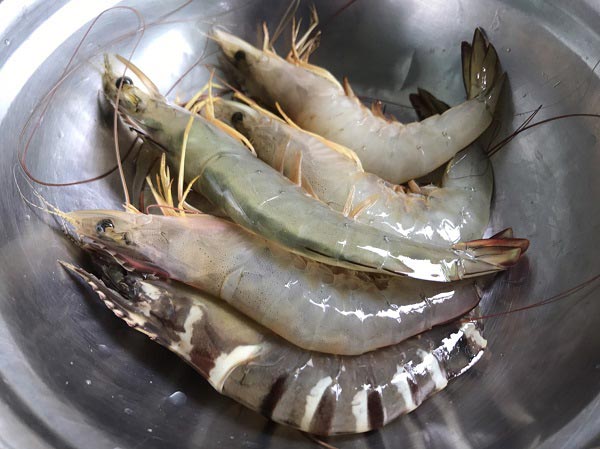 ข้าวผัดกุ้ง ข้าวผัดกุ้ง