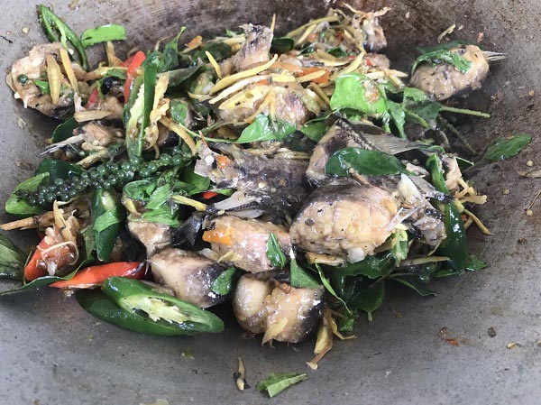 ผัดฉ่าปลาดุกใบกะเพรา ผัดฉ่าปลาดุกใบกะเพรา