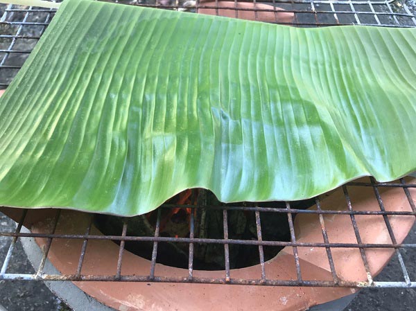 ปลาสำลีทอดราดน้ำยำมะม่วง ปลาสำลีทอดราดน้ำยำมะม่วง